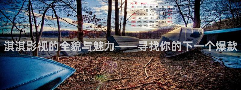 金桔 影视：淇淇影视的全貌与魅力——寻找你的下一个爆款