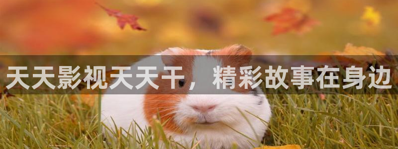 金桔利咽清喉片：天天影视天天干，精彩故事在身边