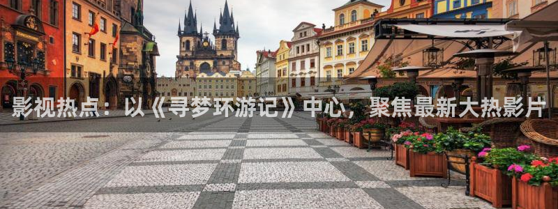 冰糖金桔的做法视频：影视热点：以《寻梦环游记》中心，聚焦最新大热影片