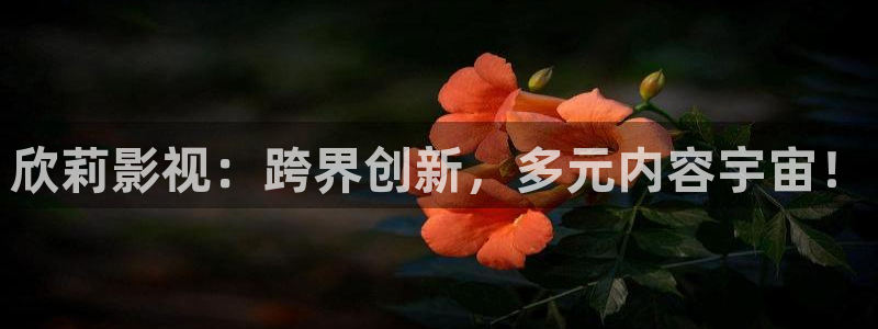 金桔 影视：欣莉影视：跨界创新，多元内容宇宙！