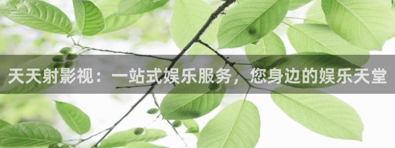 金桔视频下载：天天射影视：一站式娱乐服务，您身边的娱乐天堂