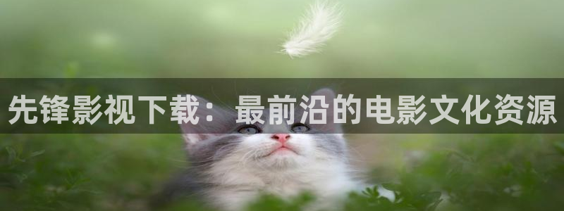av金桔影院：先锋影视下载：最前沿的电影文化资源