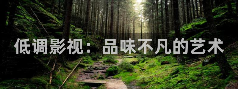 金桔柠檬做法视频：低调影视：品味不凡的艺术