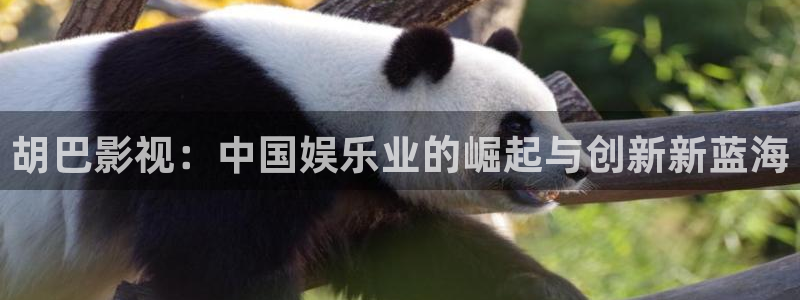 金桔影视哪里下载：胡巴影视：中国娱乐业的崛起与创新新蓝海