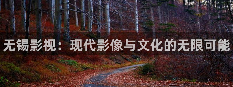 冰糖金桔的做法视频：无锡影视：现代影像与文化的无限可能