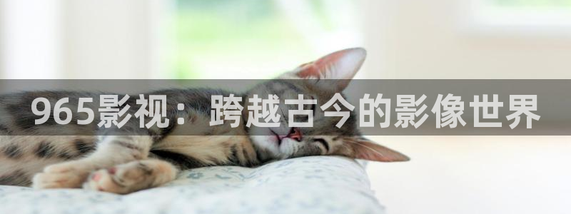 下载金桔视频：965影视：跨越古今的影像世界