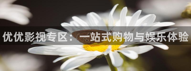 金桔视频app：优优影视专区：一站式购物与娱乐体验